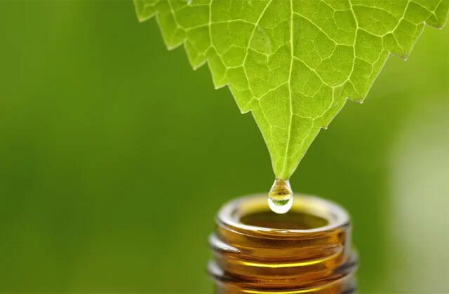 Get Melaleuca Membership